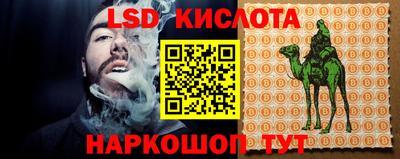ПСИЛОЦИБИНОВЫЕ ГРИБЫ Будённовск