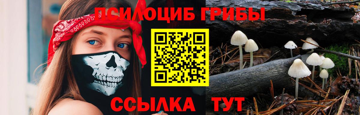 Красноуфимск  Псилоцибиновые грибы мухоморы  Вход с VPN  Галлюциногенные грибы GOLDEN TEACHER 